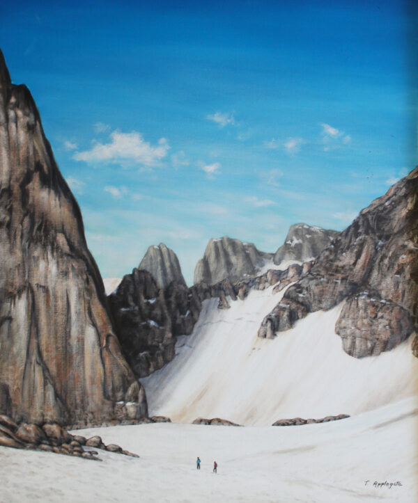 The Bugaboos