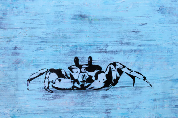 The Inconspicuous Crab