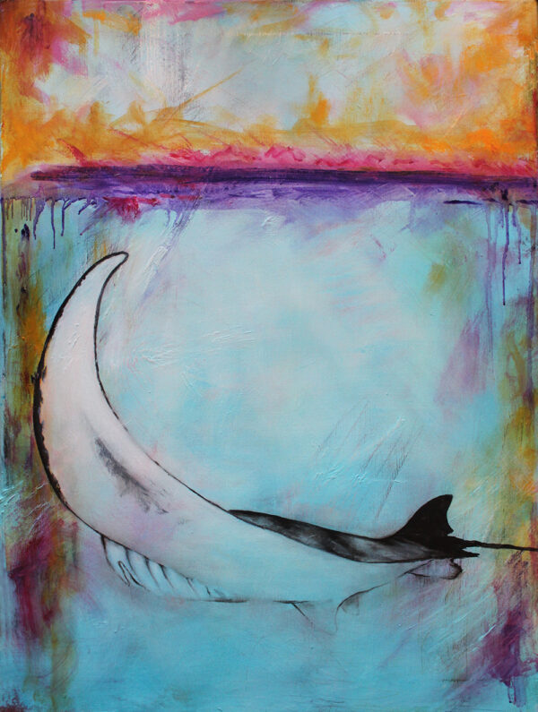 sunset Manta